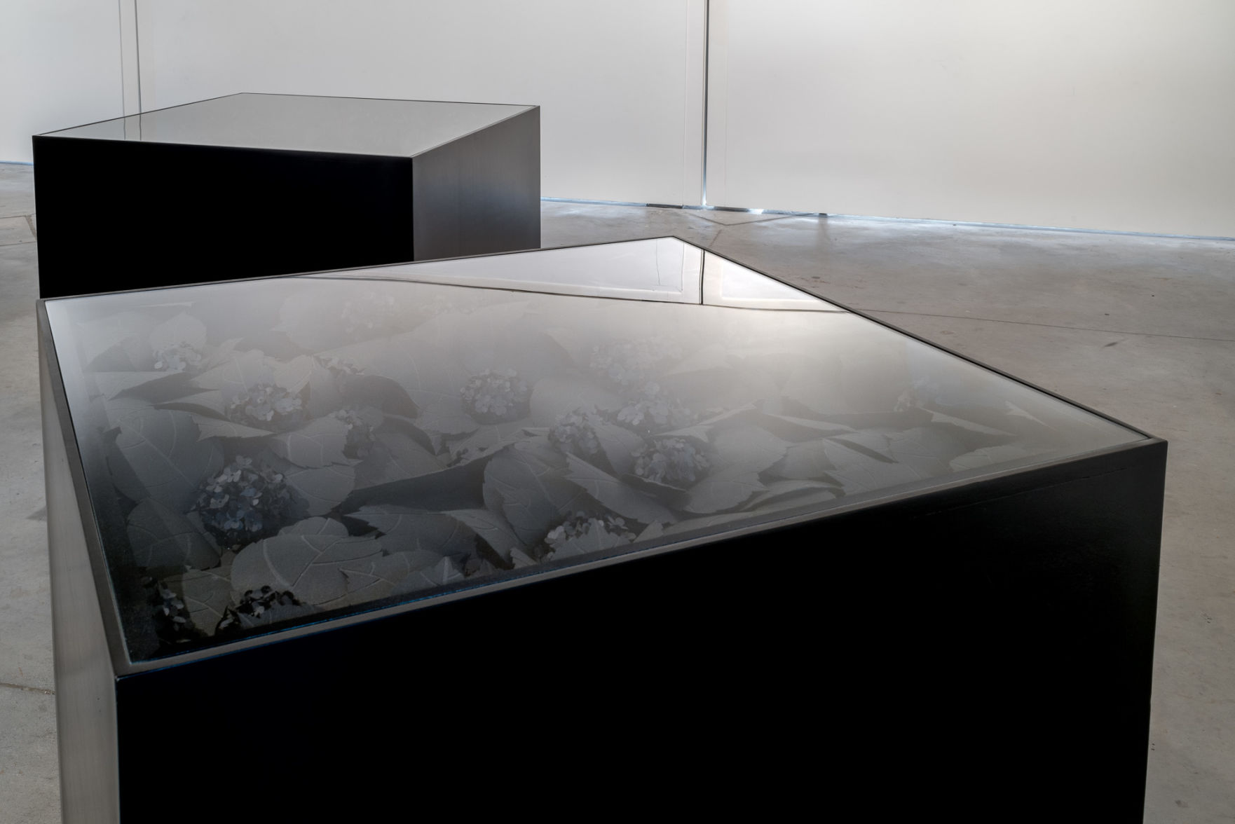 Fensterstock_Claude Glass (Cube 1).jpg